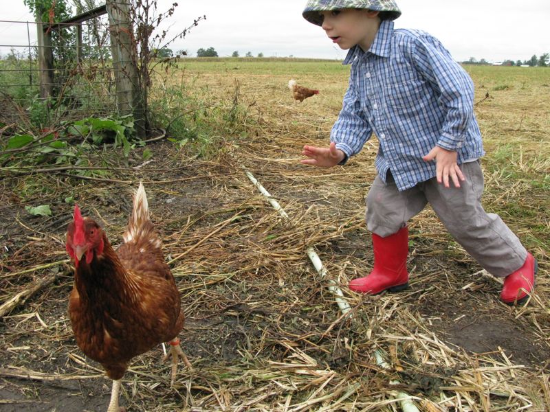 Meadow Haven Farm