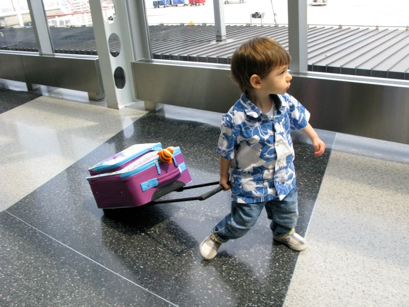 The Little Traveler at O'Hare