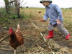 Meadow Haven Farm