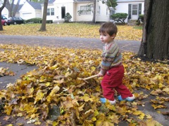 Autumn