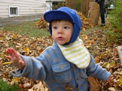 Helping with the Leaves