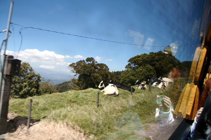 IMG_1840.JPG