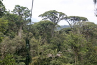 IMG_1976.JPG