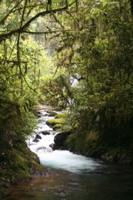 IMG_2516.JPG