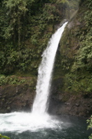 IMG_2542.JPG