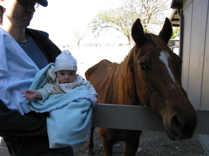 At the Barn
