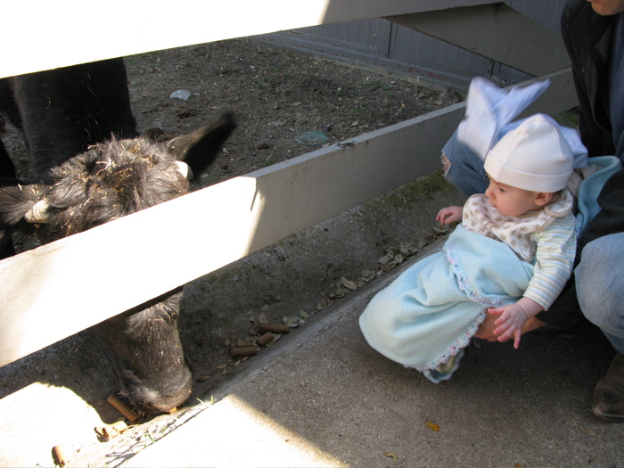 At the Barn