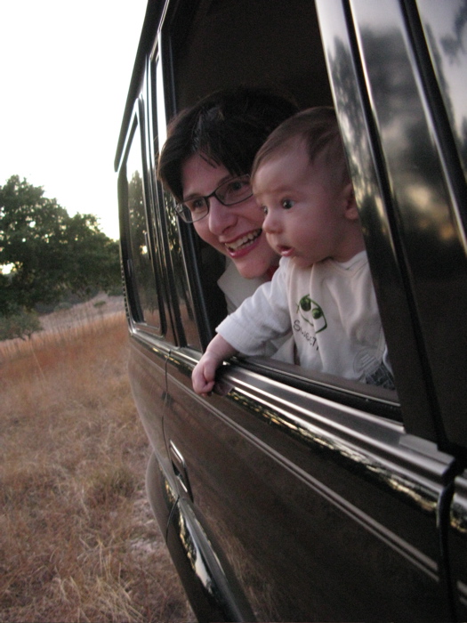 Afternoon Safari