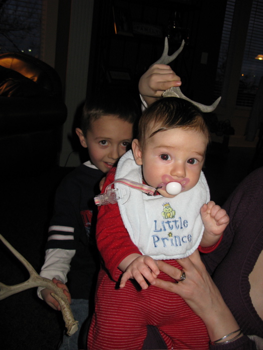 Reindeer Graeme