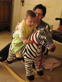 Morning Zebra Ride