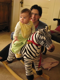 Morning Zebra Ride