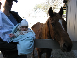 At the Barn