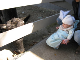 At the Barn