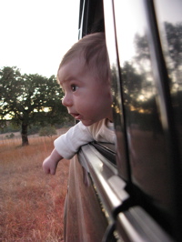 Afternoon Safari