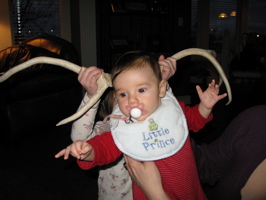 Reindeer Graeme
